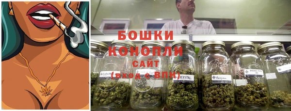 индика Волосово