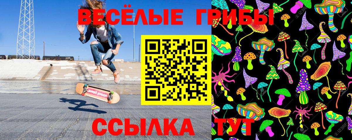 Мичуринск  Псилоцибиновые грибы ЛСД  Вход с VPN  Галлюциногенные грибы ЛСД 