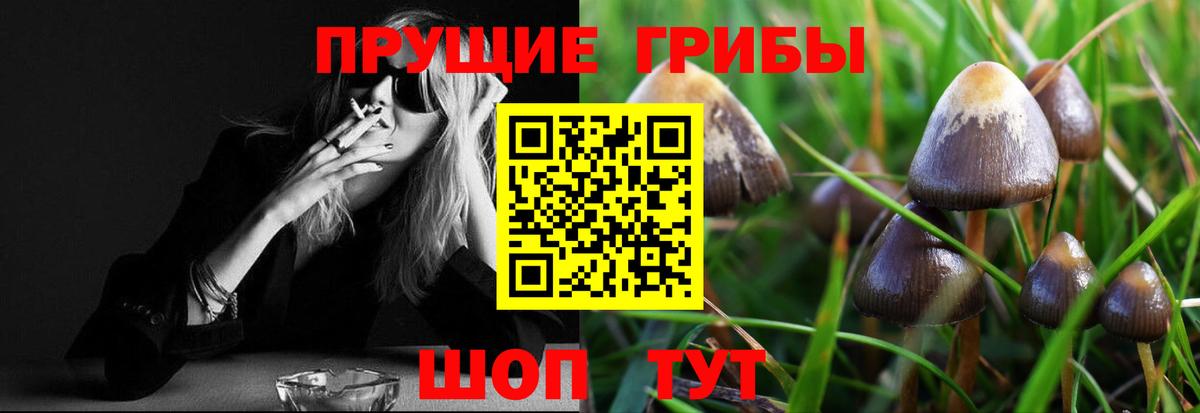 Галлюциногенные грибы MAGIC MUSHROOMS  купить наркоту  Псилоцибиновые грибы мухоморы  Мичуринск 